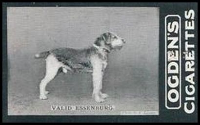 01OGIA2 89 Valid Essenburg.jpg